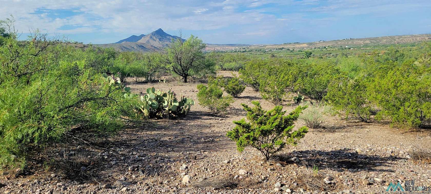 0.268 Acres of Residential Land for Sale in Elephant Butte, New Mexico