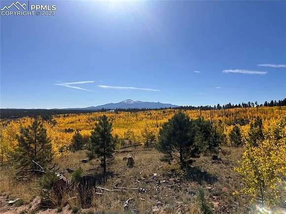 41.3 Acres of Recreational Land for Sale in Florissant, Colorado