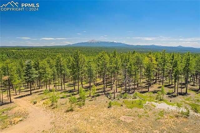 40.245 Acres of Recreational Land for Sale in Florissant, Colorado