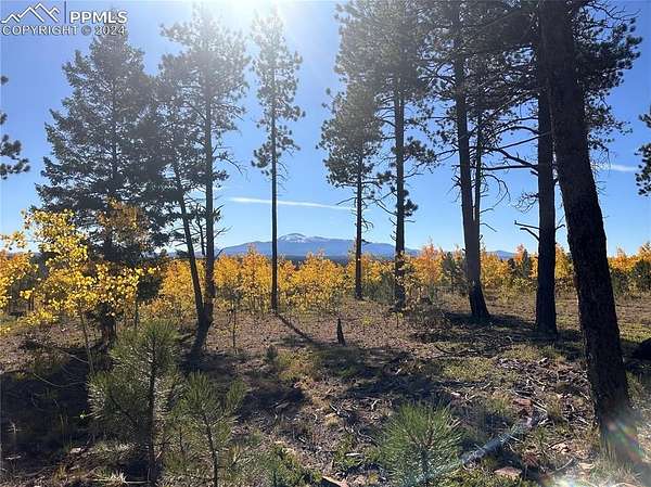 41.2 Acres of Recreational Land for Sale in Florissant, Colorado