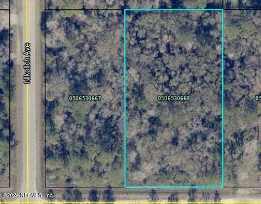 1.14 Acres of Land for Sale in Hastings, Florida