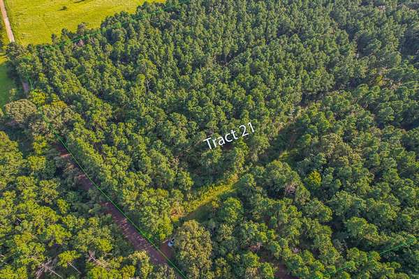48 Acres of Land for Sale in Frankston, Texas