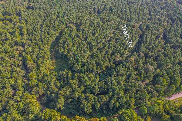 30 Acres of Land for Sale in Frankston, Texas