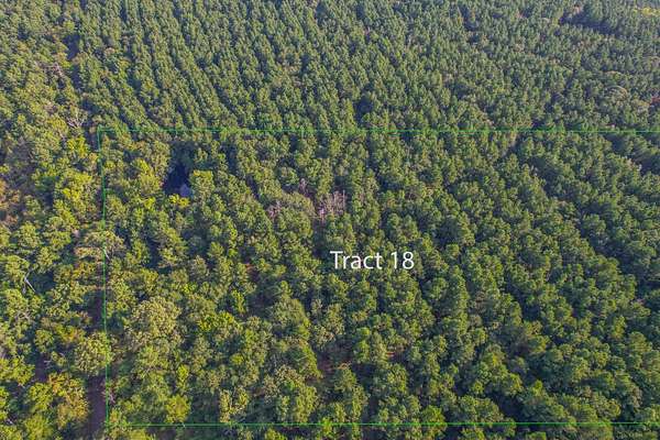 32 Acres of Land for Sale in Frankston, Texas