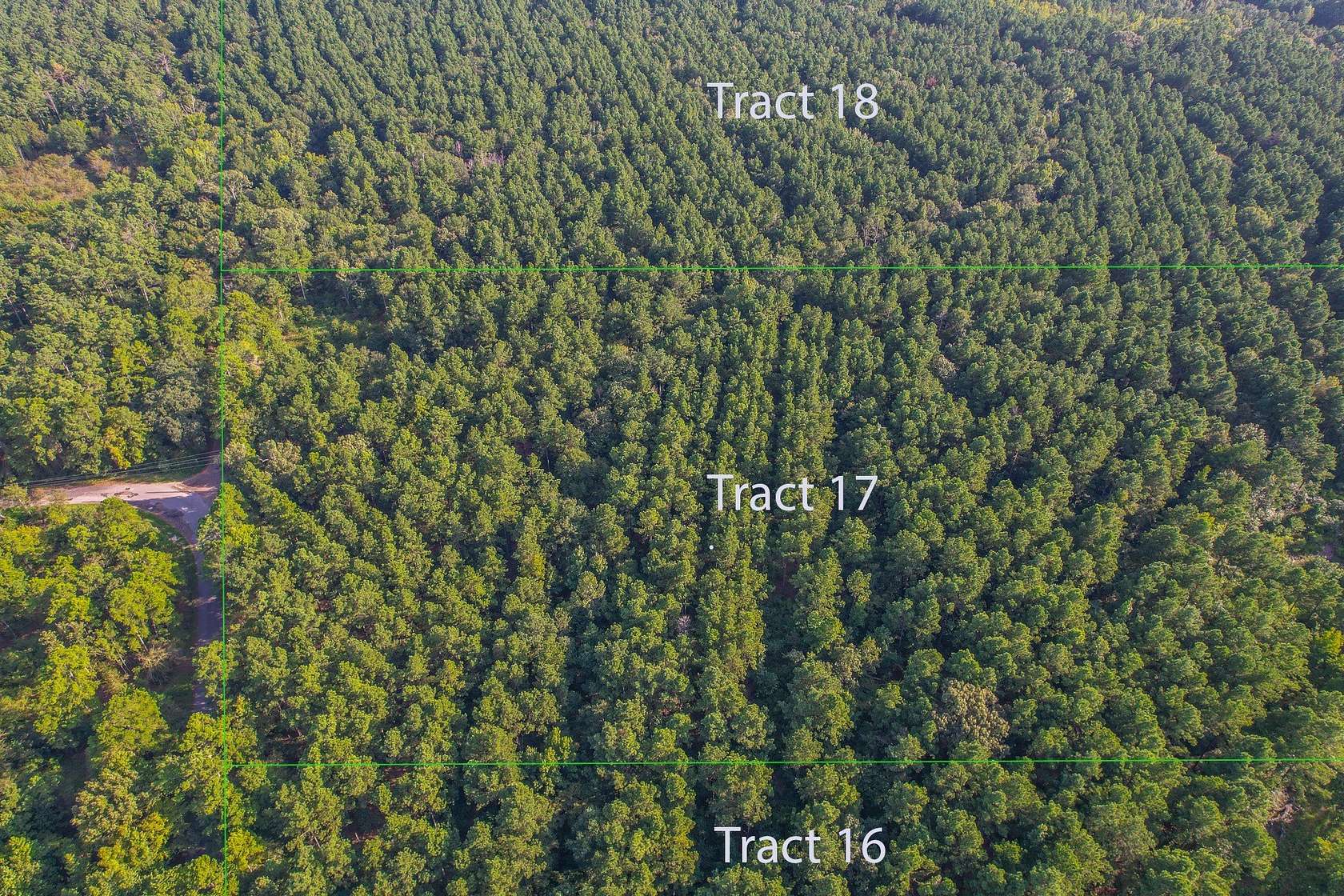 30 Acres of Land for Sale in Frankston, Texas