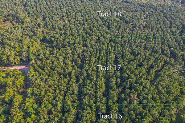 30 Acres of Land for Sale in Frankston, Texas