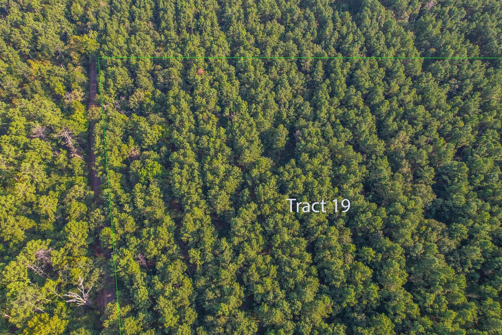 35 Acres of Land for Sale in Frankston, Texas