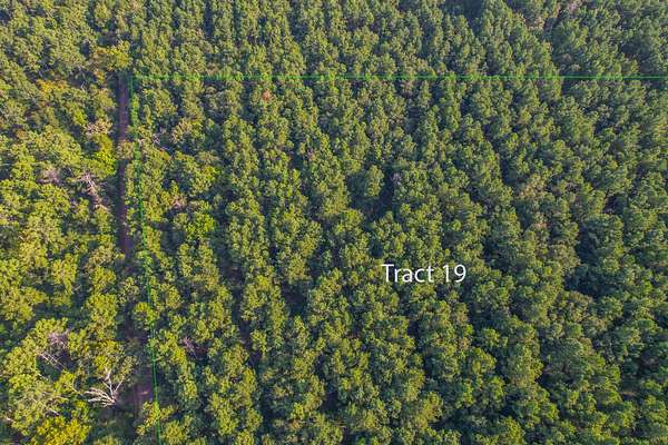 35 Acres of Land for Sale in Frankston, Texas