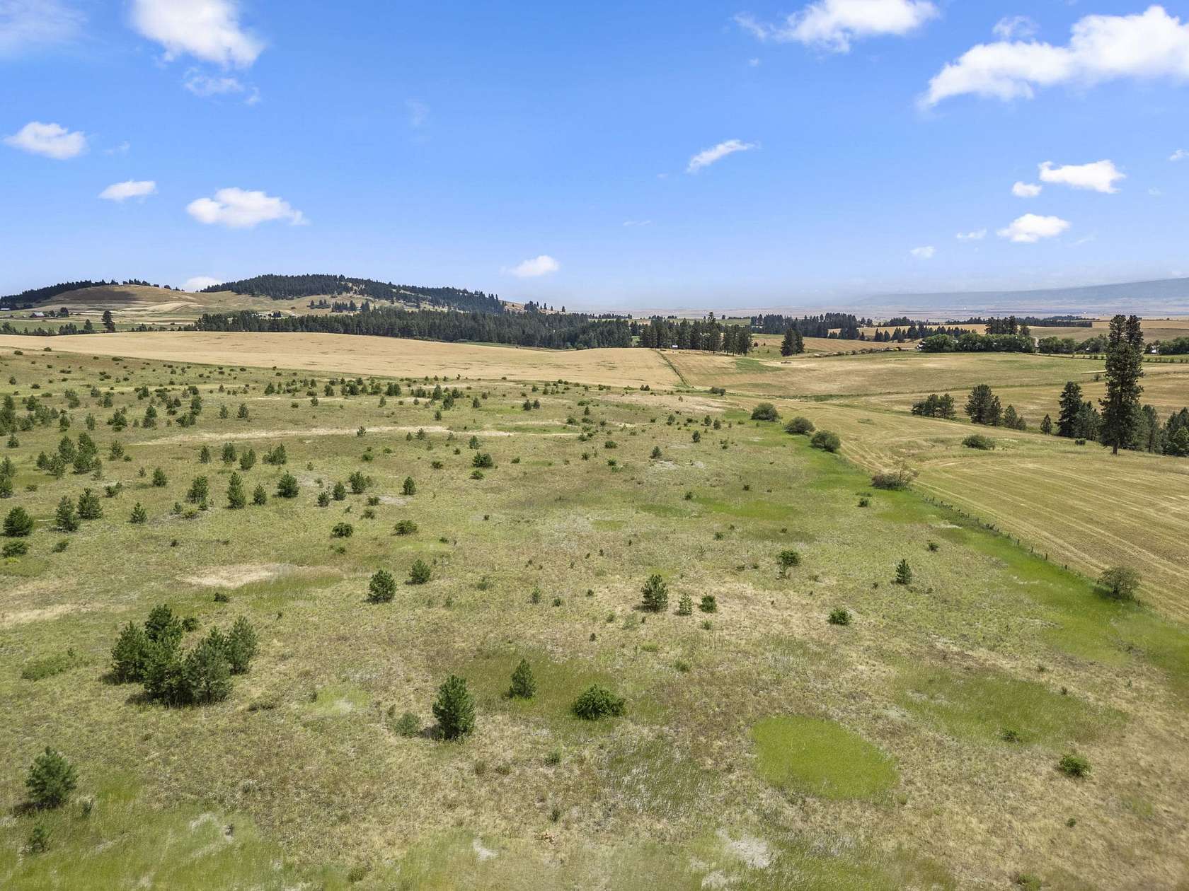 40 Acres of Land for Sale in Keuterville, Idaho