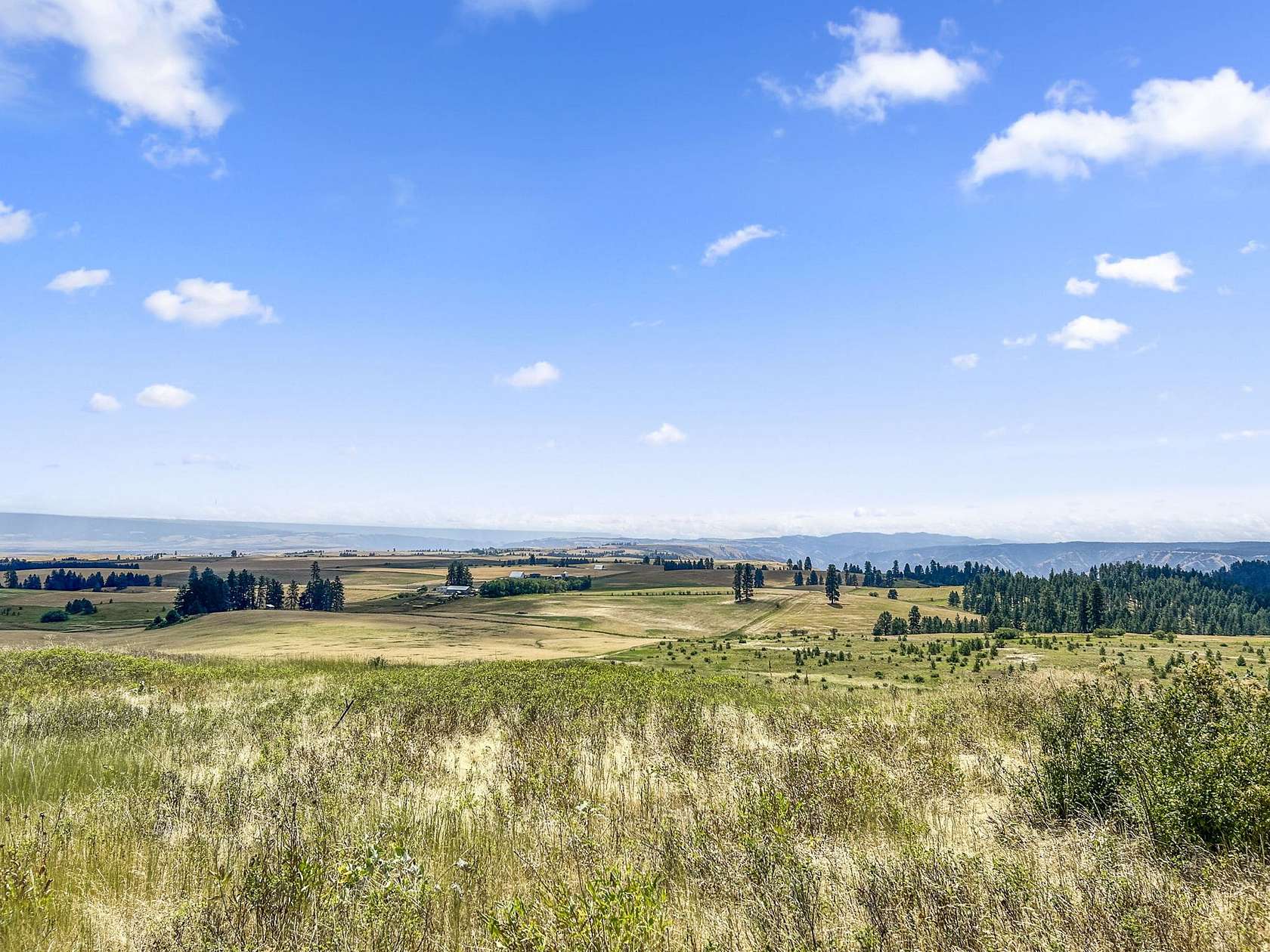 40 Acres of Land for Sale in Keuterville, Idaho