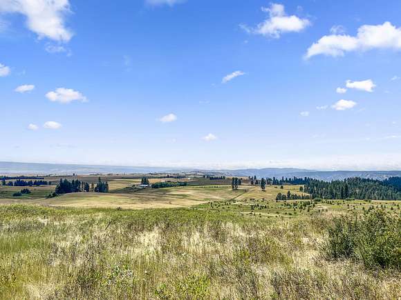 40 Acres of Land for Sale in Keuterville, Idaho