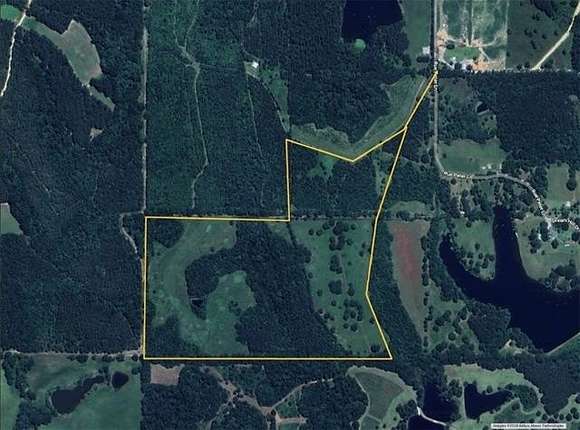 81.5 Acres of Land for Sale in Poplarville, Mississippi