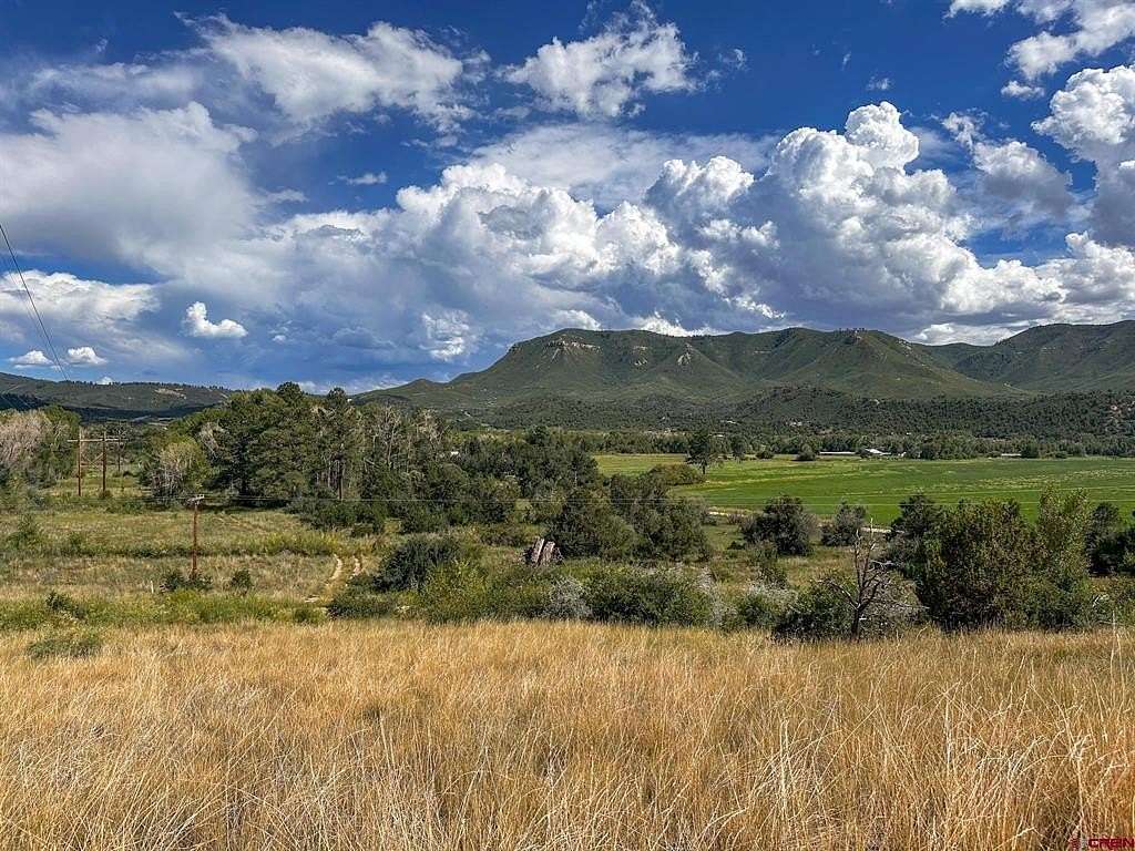 35.12 Acres of Recreational Land for Sale in Mancos, Colorado