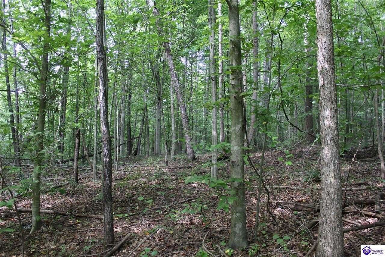 38.54 Acres of Recreational Land for Sale in Fordsville, Kentucky