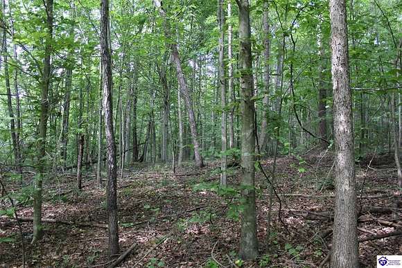 38.54 Acres of Recreational Land for Sale in Fordsville, Kentucky