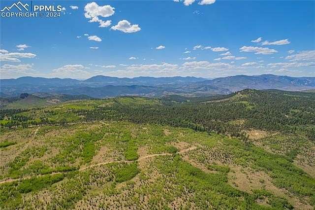 41.5 Acres of Recreational Land for Sale in Florissant, Colorado