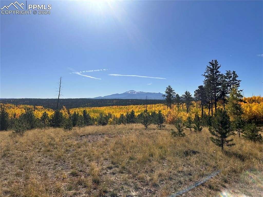 41.5 Acres of Recreational Land for Sale in Florissant, Colorado