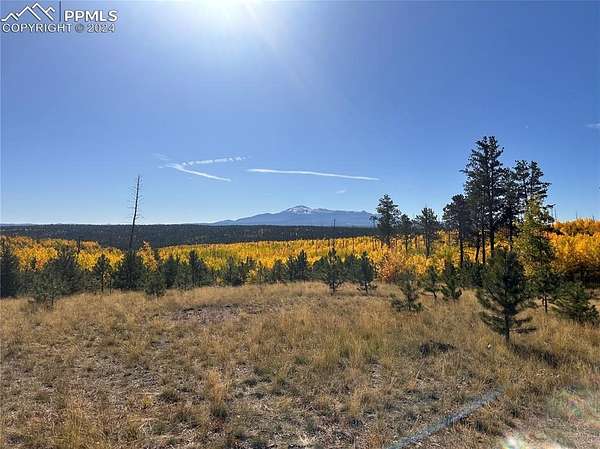 41.5 Acres of Recreational Land for Sale in Florissant, Colorado