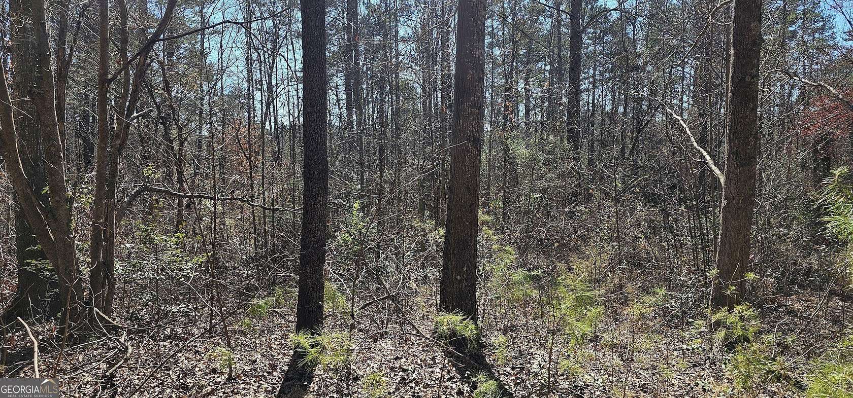 0.58 Acres of Residential Land for Sale in Martin, Georgia