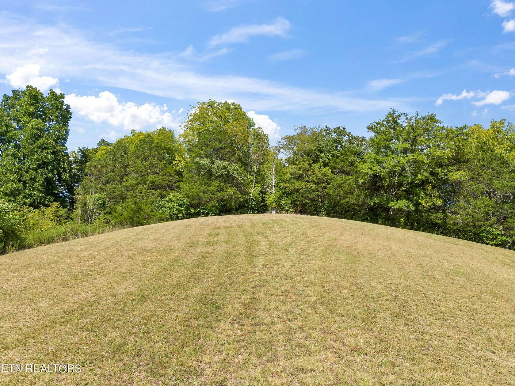 36.5 Acres of Land for Sale in Bybee, Tennessee