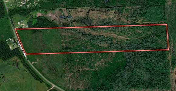 57.31 Acres of Recreational Land for Sale in Beulaville, North Carolina