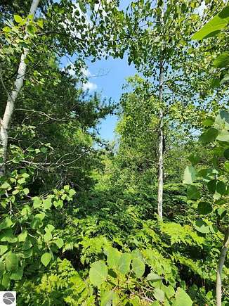 2.66 Acres of Land for Sale in Mancelona, Michigan