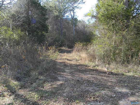 7.1 Acres of Land for Sale in Gaylesville, Alabama