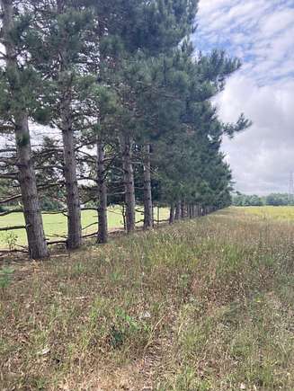 20 Acres of Agricultural Land for Sale in Pentwater, Michigan