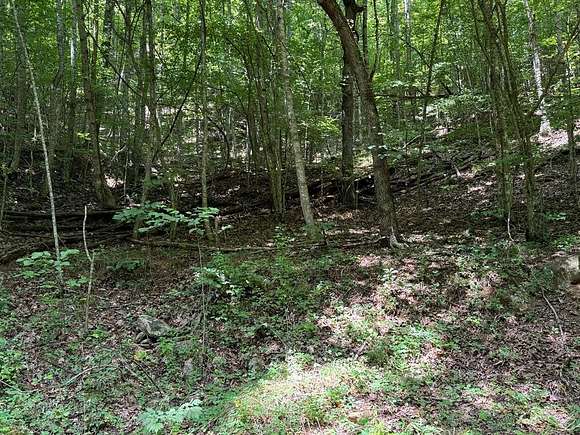 7.87 Acres of Land for Sale in Franklin, North Carolina