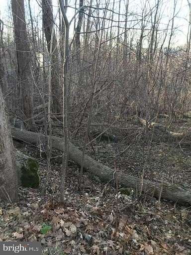 1 Acre of Residential Land for Sale in Linden, Virginia