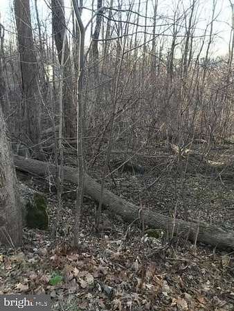 1 Acre of Residential Land for Sale in Linden, Virginia