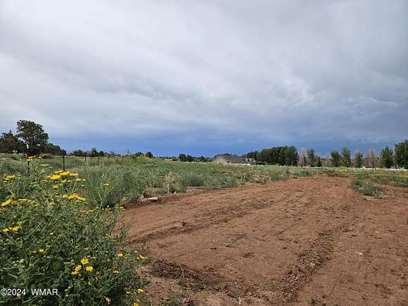 1 Acre of Residential Land for Sale in Snowflake, Arizona