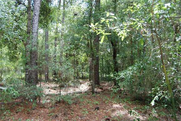 0.87 Acres of Residential Land for Sale in Ocala, Florida