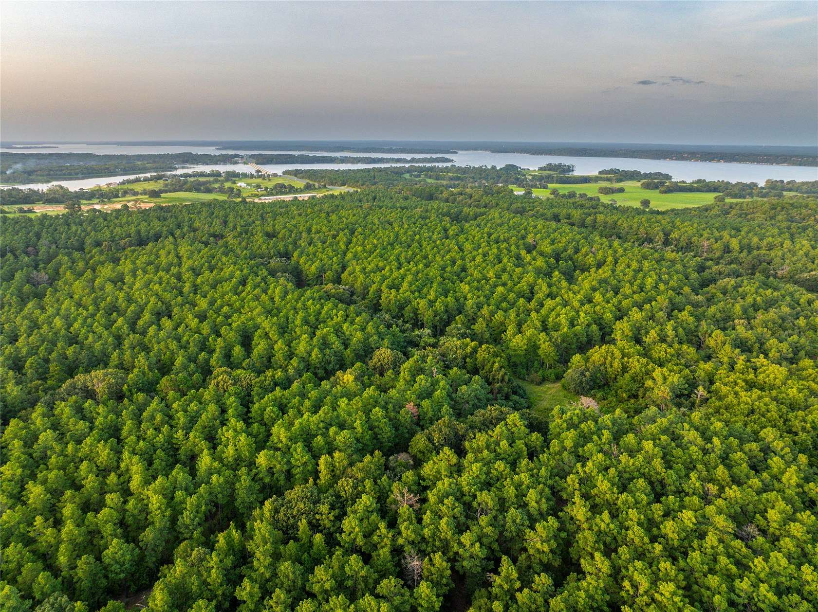 52.5 Acres of Land for Sale in Frankston, Texas