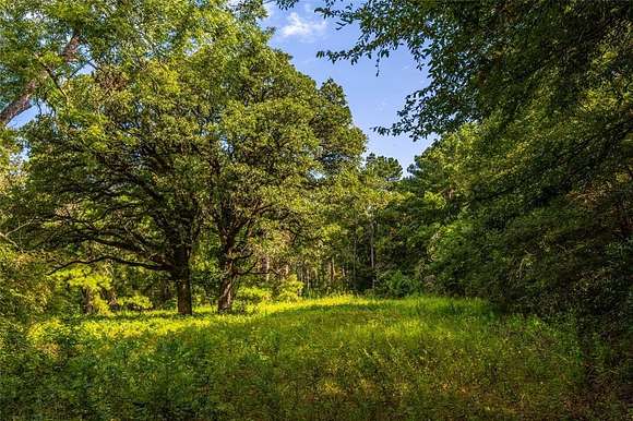 56 Acres of Land for Sale in Frankston, Texas