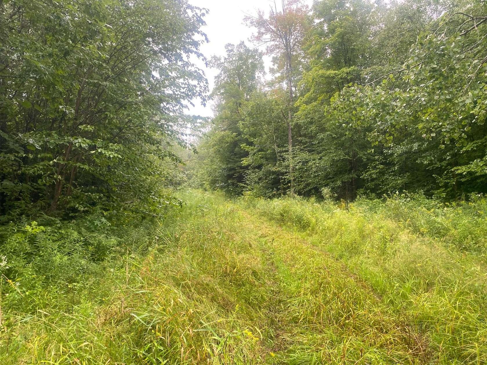 40 Acres of Recreational Land for Sale in Catawba, Wisconsin