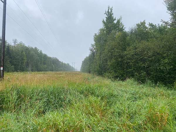 41.5 Acres of Recreational Land for Sale in Ogema, Wisconsin