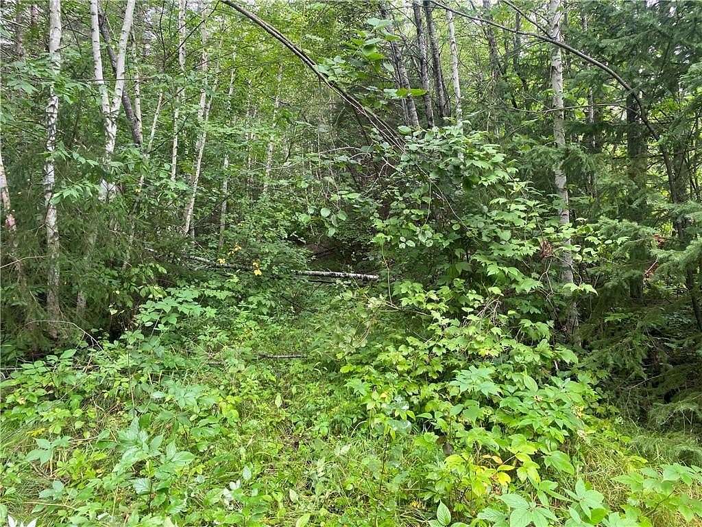 80 Acres of Recreational Land for Sale in Loretta, Wisconsin