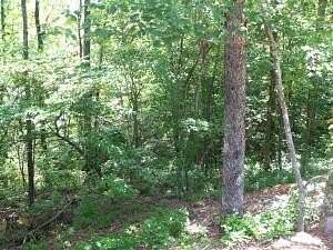 8.82 Acres of Land for Sale in Clinton, Arkansas