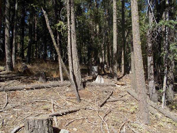 0.37 Acres of Land for Sale in Quincy, California