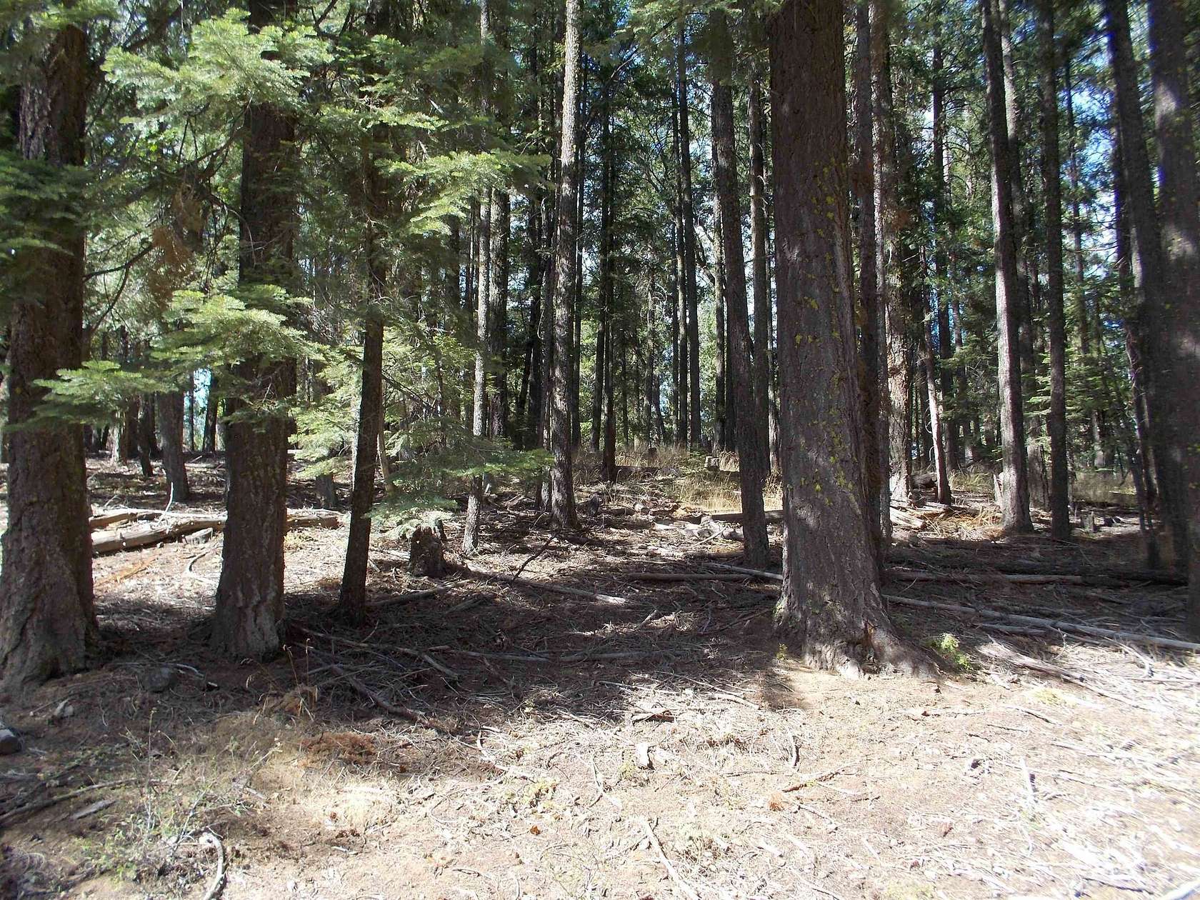 0.38 Acres of Land for Sale in Quincy, California