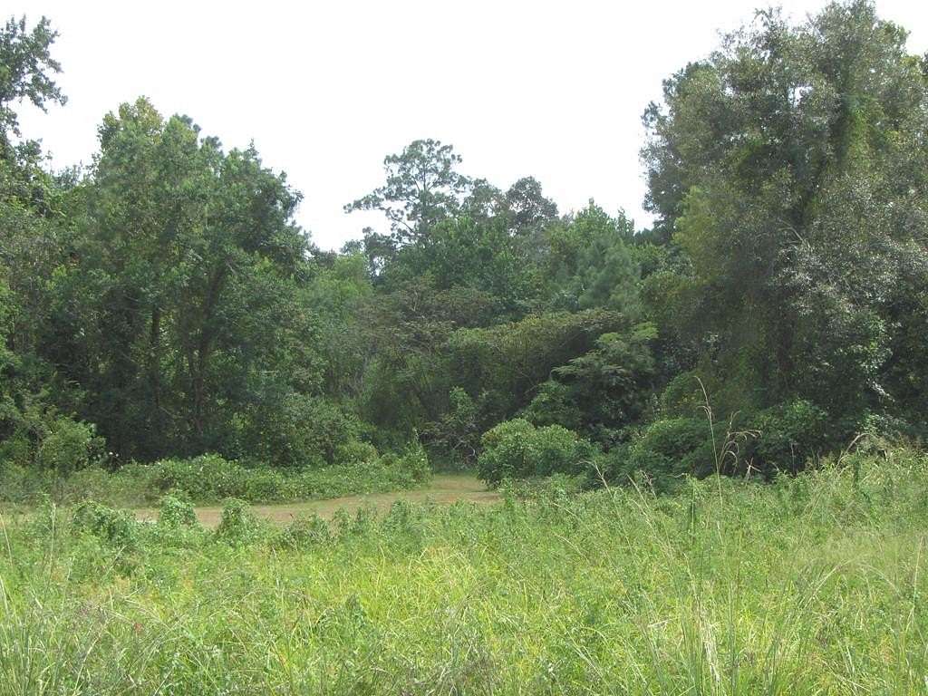 5 Acres of Commercial Land for Sale in Picayune, Mississippi