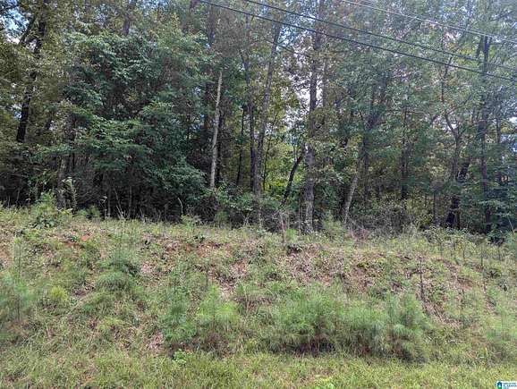 0.43 Acres of Residential Land for Sale in Anniston, Alabama