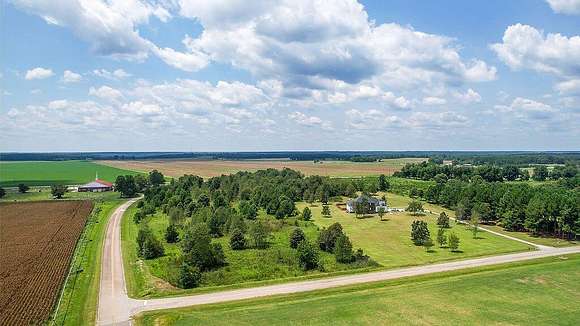 15.32 Acres of Land for Sale in Stapleton, Georgia