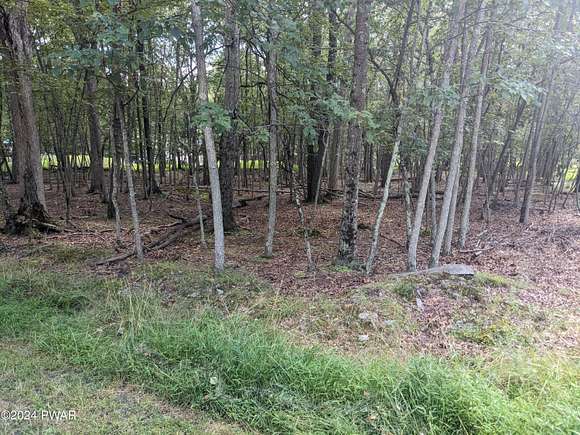 0.34 Acres of Land for Sale in Dingmans Ferry, Pennsylvania