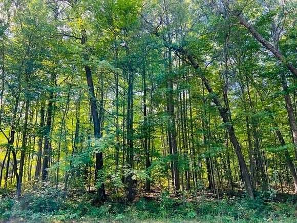 Residential Land for Sale in Roscommon, Michigan