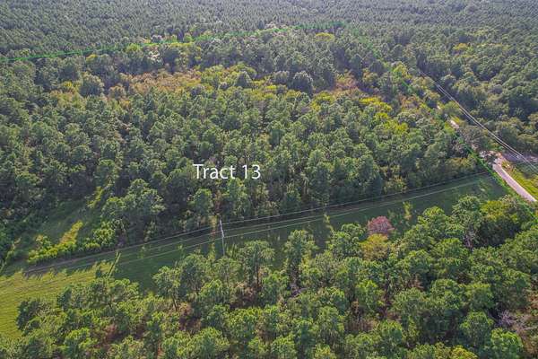 29 Acres of Land for Sale in Frankston, Texas