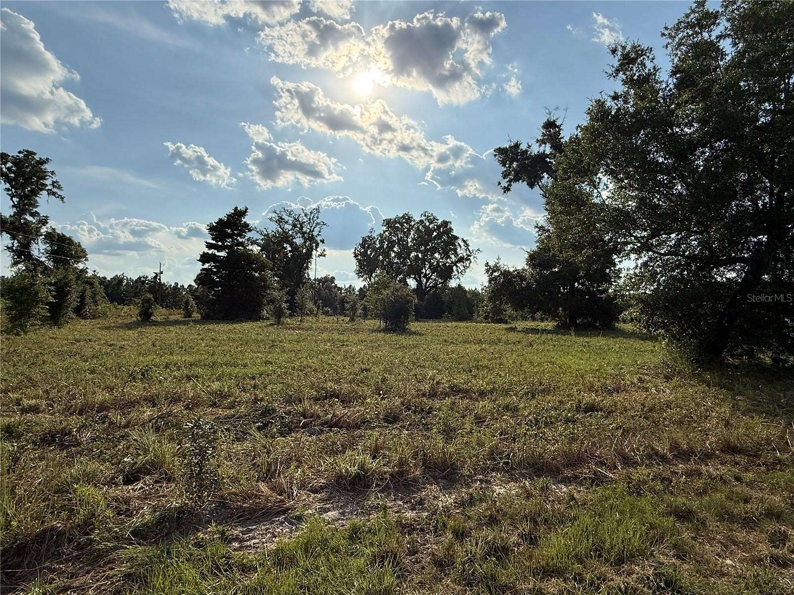 6.1 Acres of Land for Sale in High Springs, Florida