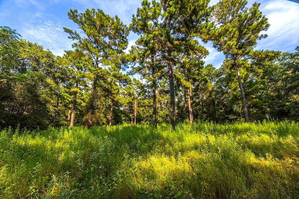 92 Acres of Recreational Land for Sale in Frankston, Texas