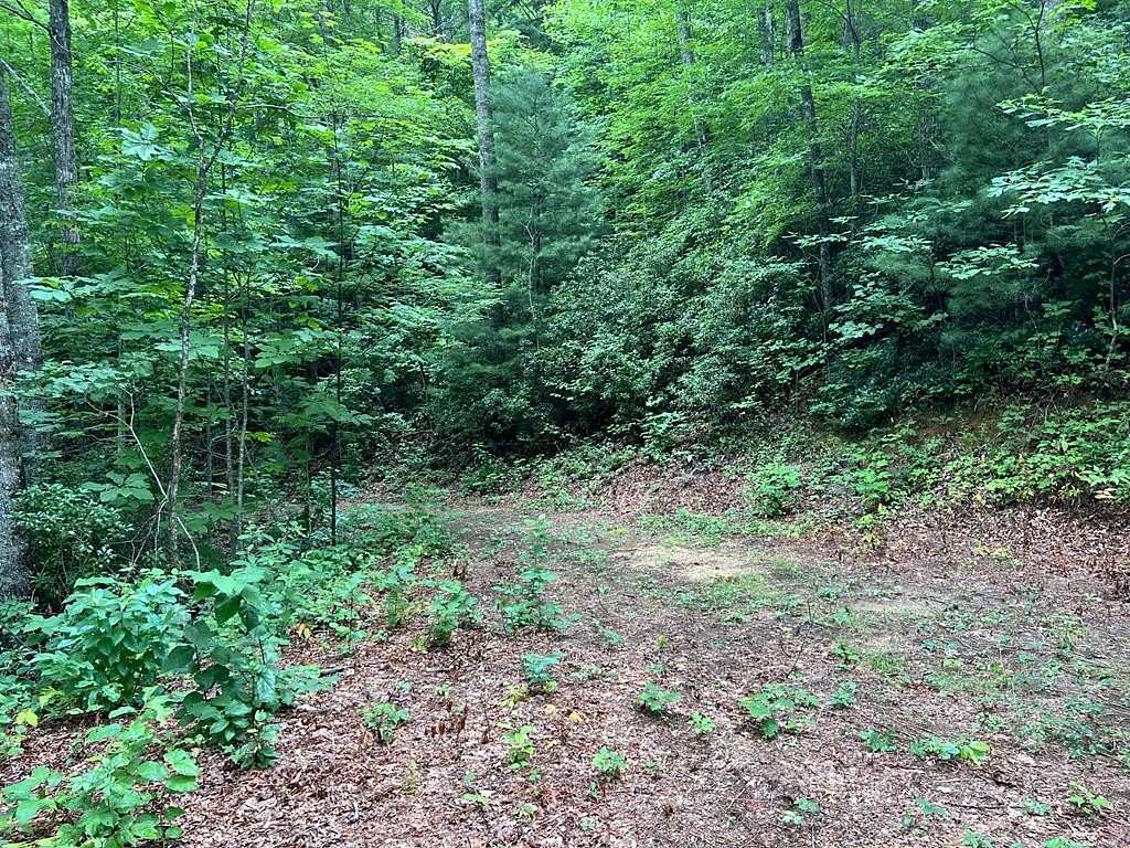 12.94 Acres of Land for Sale in Robbinsville, North Carolina